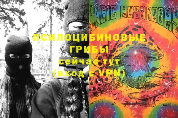 ГАЛЛЮЦИНОГЕННЫЕ ГРИБЫ Куйбышев