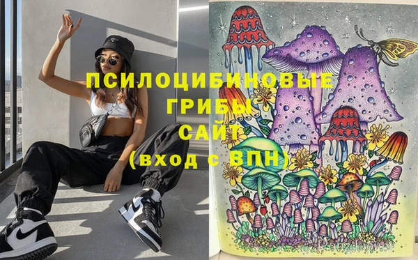 ГАЛЛЮЦИНОГЕННЫЕ ГРИБЫ Куйбышев