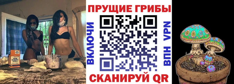 Псилоцибиновые грибы Cubensis  Купить закладки  Сасово 
