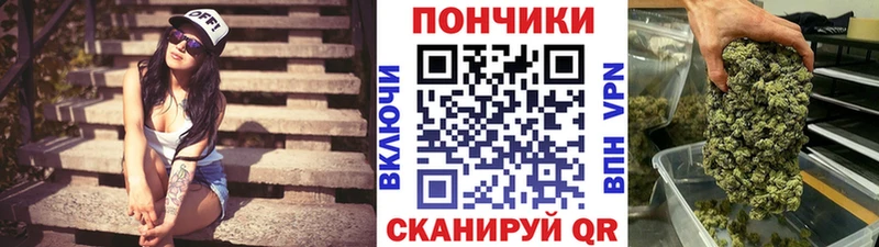 Шишки марихуана ГИДРОПОН  Купить где  Сасово 